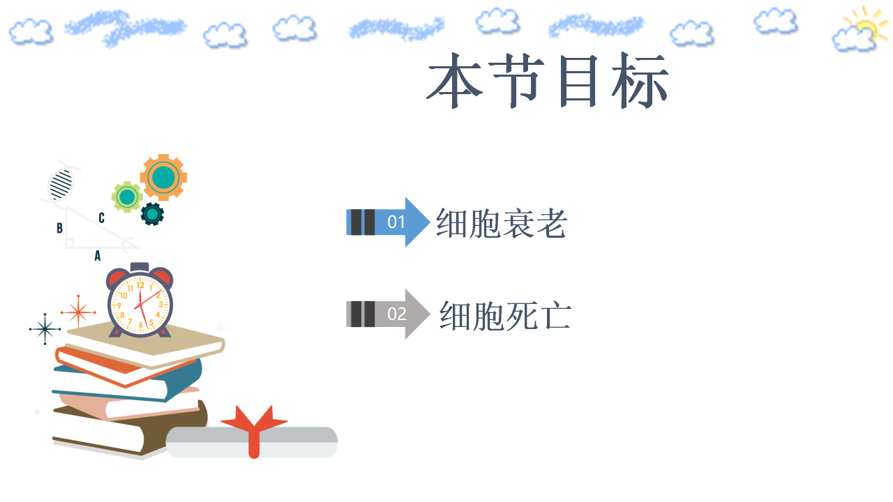 6.3 细胞的衰老和死亡_02.png