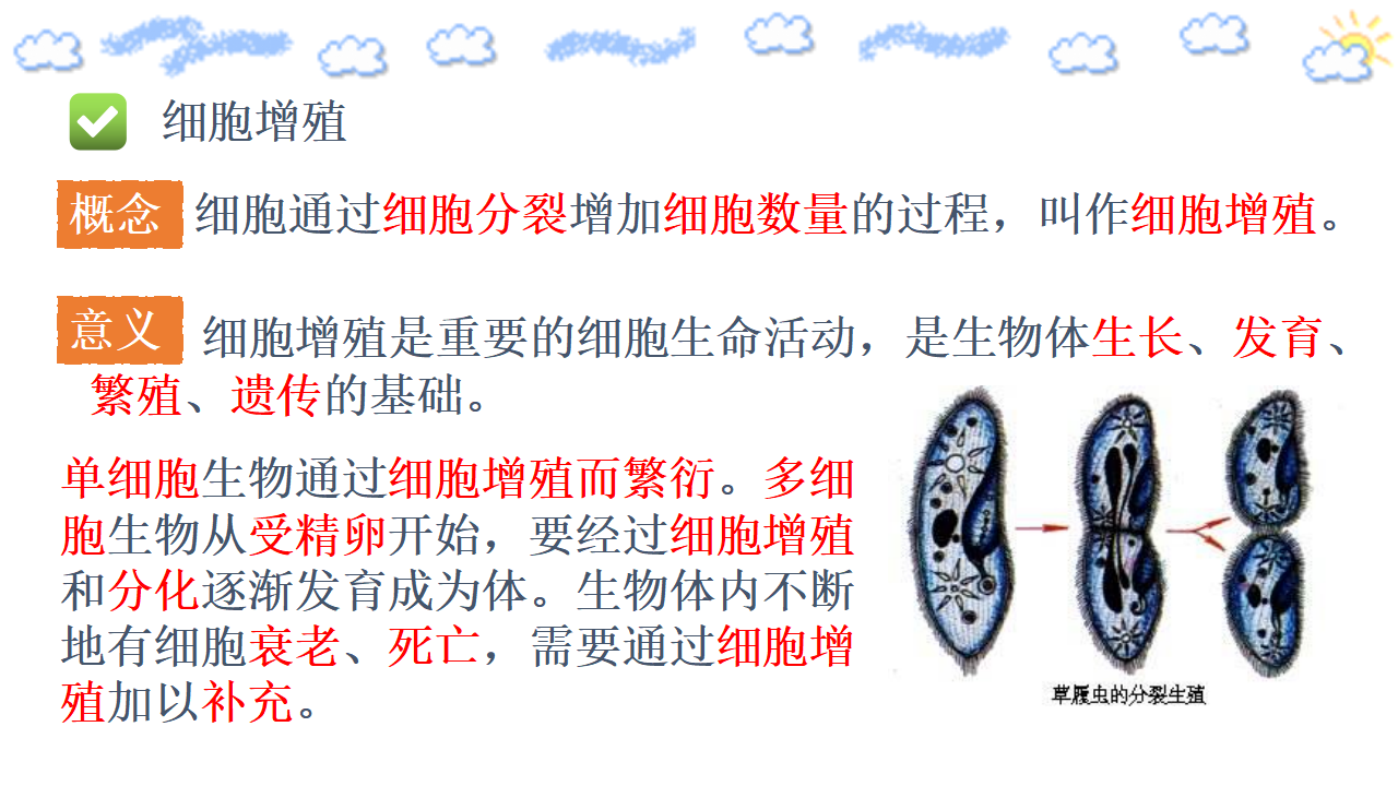 6.1.1 细胞的增殖（第一课时）_05.png