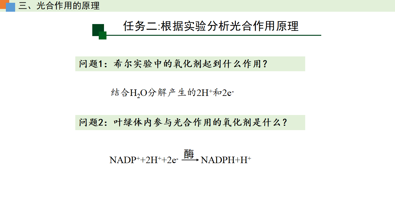 5.4 光合作用与能量转化（课件）-【高效课堂】2022-2023学年高一生物精讲课件 导学案（人教版2019必修1）_35530535_63.png