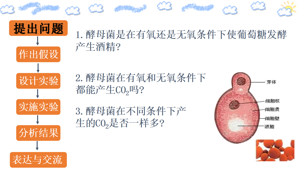 5.3.1细胞呼吸的原理和应用_07.png
