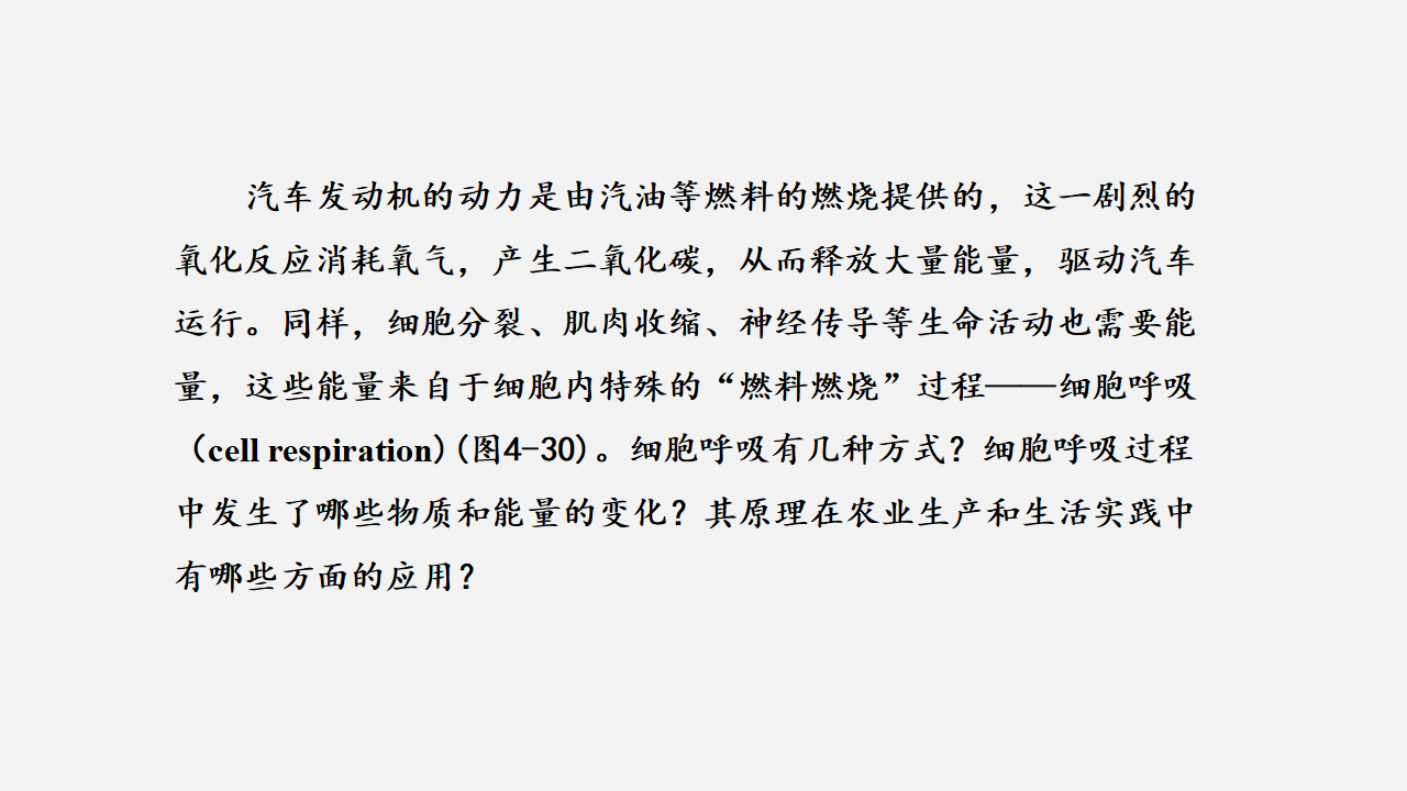 5.3 细胞呼吸的原理和应用（课件）-【高效课堂】2022-2023学年高一生物精讲课件 导学案（人教版2019必修1）_35530531_02.png