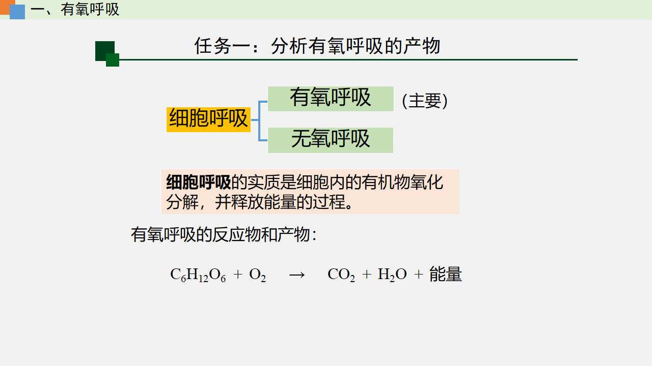 5.3 细胞呼吸的原理和应用（课件）-【高效课堂】2022-2023学年高一生物精讲课件 导学案（人教版2019必修1）_35530531_21.png