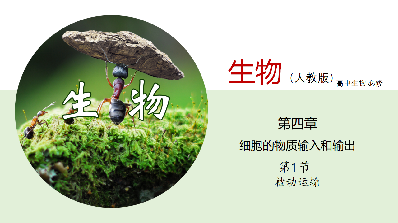 4.1 被动运输（课件）-【高效课堂】2022-2023学年高一生物精讲课件 导学案（人教版2019必修1）_34466001_01.png