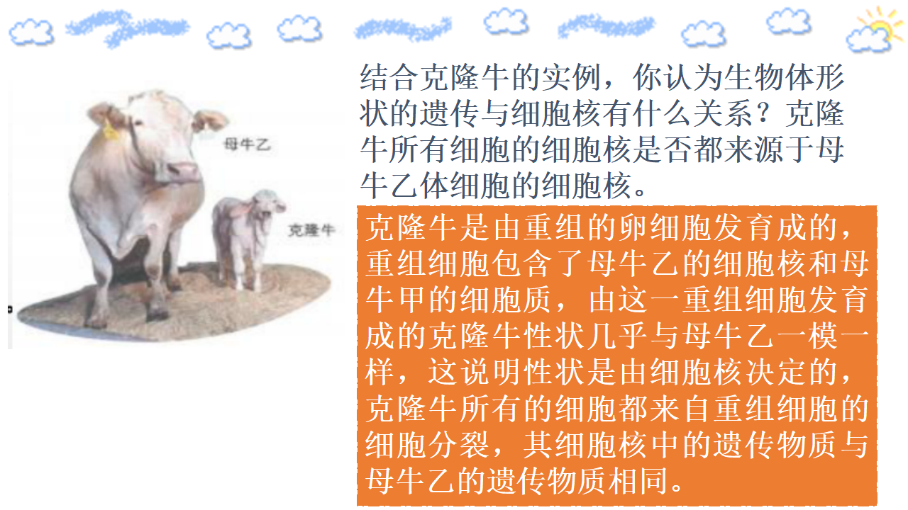 3.3 细胞核的结构和功能 课件【新教材】人教版（2019）高中生物必修一（含视频和思维导图）_13.png