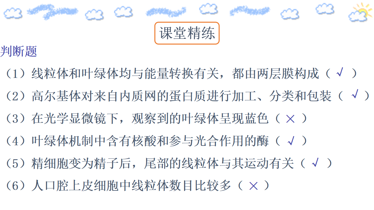 3.2.1 细胞器之间的分工合作 课件共24张PPT_23.png