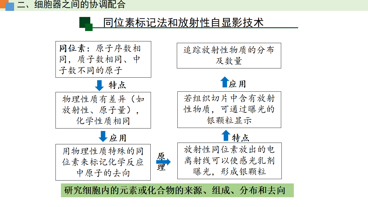 3.2 细胞器之间的分工合作（课件）-【高效课堂】2022-2023学年高一生物精讲课件 导学案（人教版2019必修1）_34465853_44.png