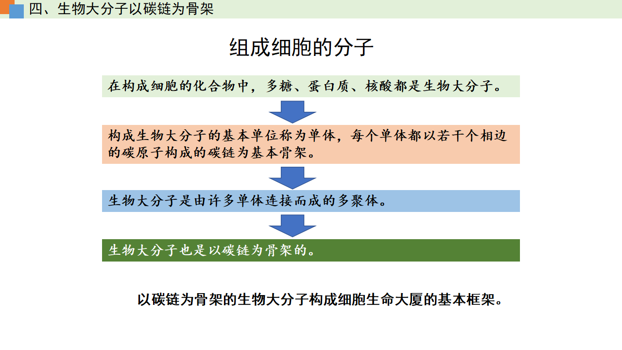 2.5 核酸是遗传信息的携带者（课件）-【高效课堂】2022-2023学年高一生物精讲课件 导学案（人教版2019必修1）_34233026_31.png