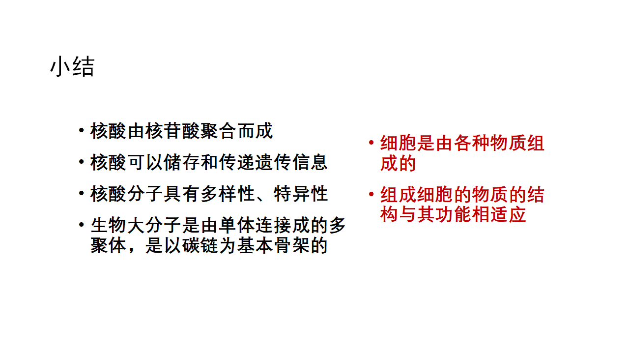 2.5 核酸是遗传信息的携带者（课件）-【高效课堂】2022-2023学年高一生物精讲课件 导学案（人教版2019必修1）_34233026_32.png
