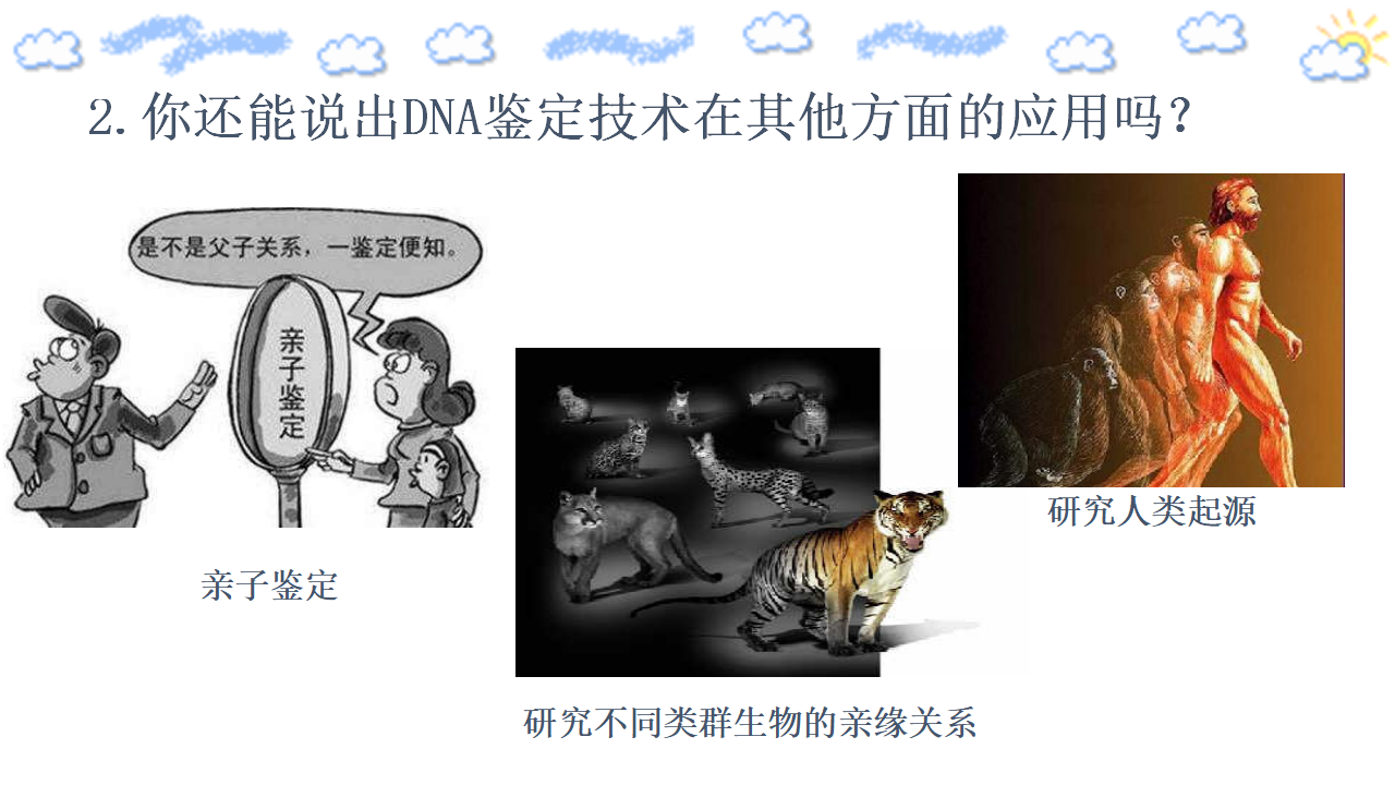 2.5 核酸是遗传信息的携带者 课件【新教材】人教版（2019）高中生物必修一共22张PPT_05.png