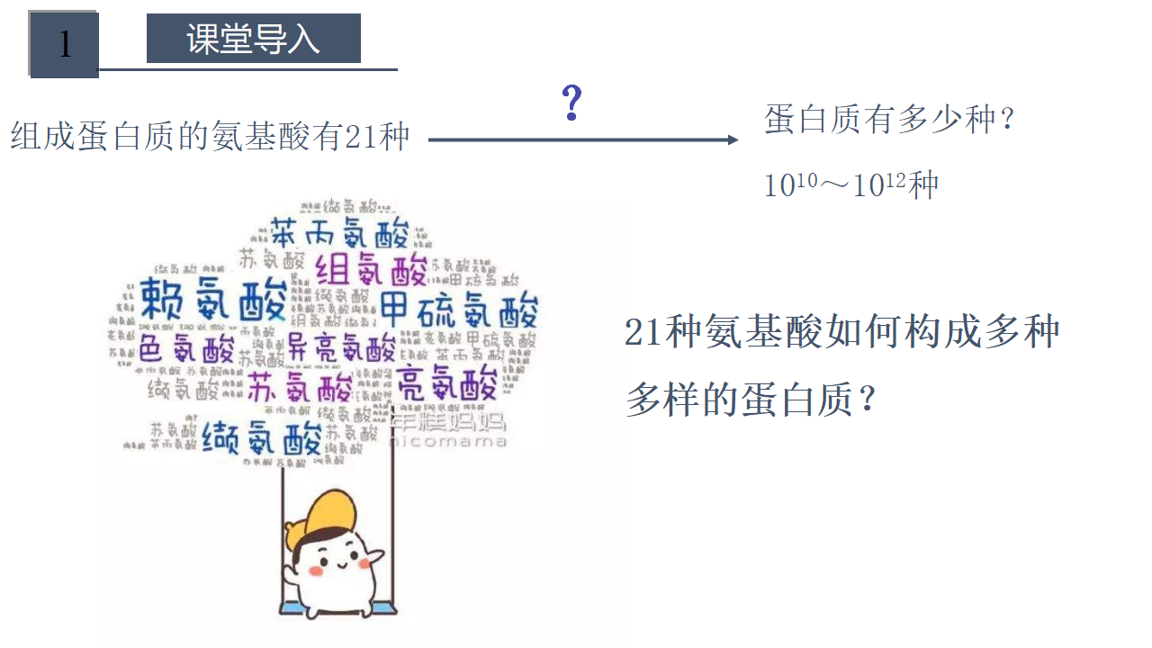 2.4.2 蛋白质是生命活动的主要承担者 课件【新教材】人教版（2019）高中生物必修一）共22张PPT_03.png