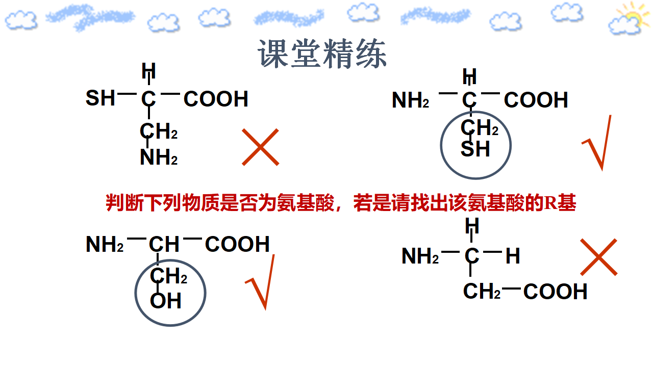 2.4.1 蛋白质是生命活动的主要承担者【新教材】人教版（2019）高中生物必修一（含思维导图）_20.png