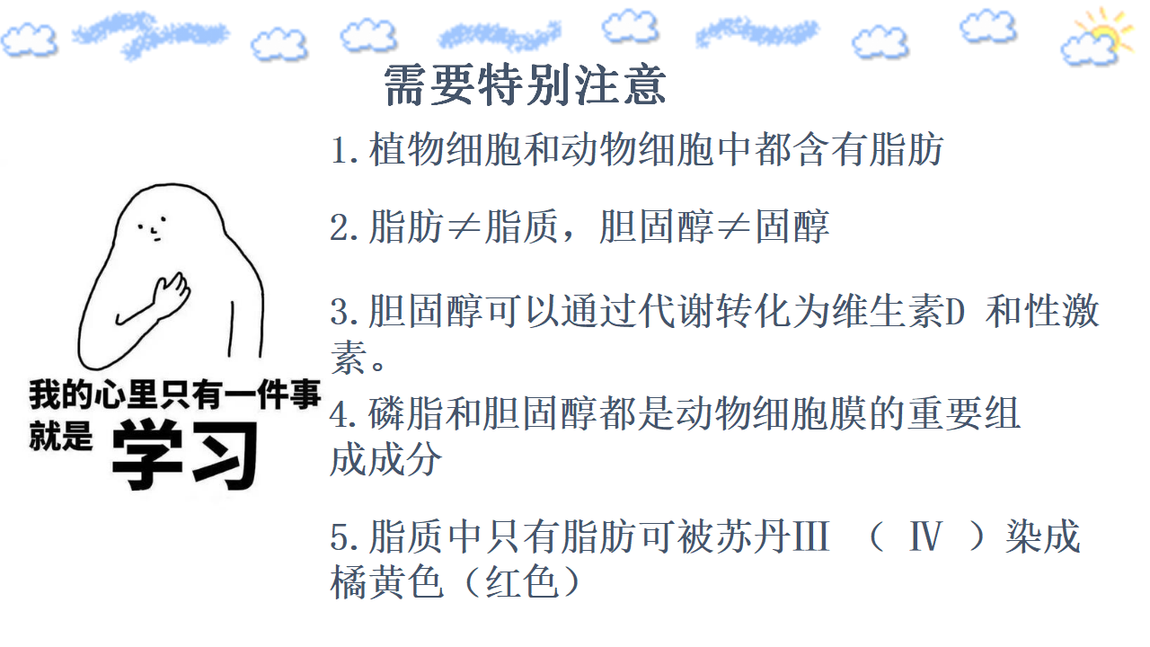 2.3 组成细胞的分子 细胞中的糖类 第二课时 课件 【新教材】人教版（2019）高中生物必修一（思维导图）共20张PPT_16.png