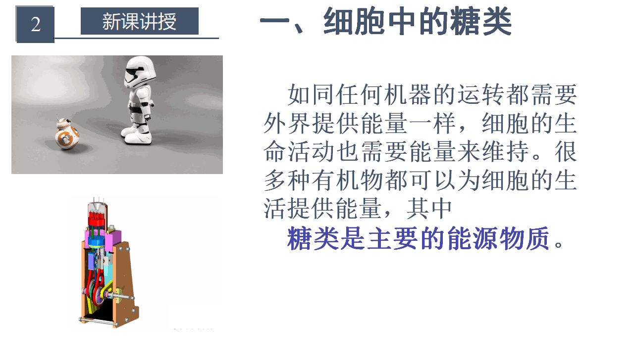 2.3 组成细胞的分子 细胞中的糖类 第一课时 课件 【新教材】人教版（2019）高中生物必修一（思维导图）共21张PPT_04.png