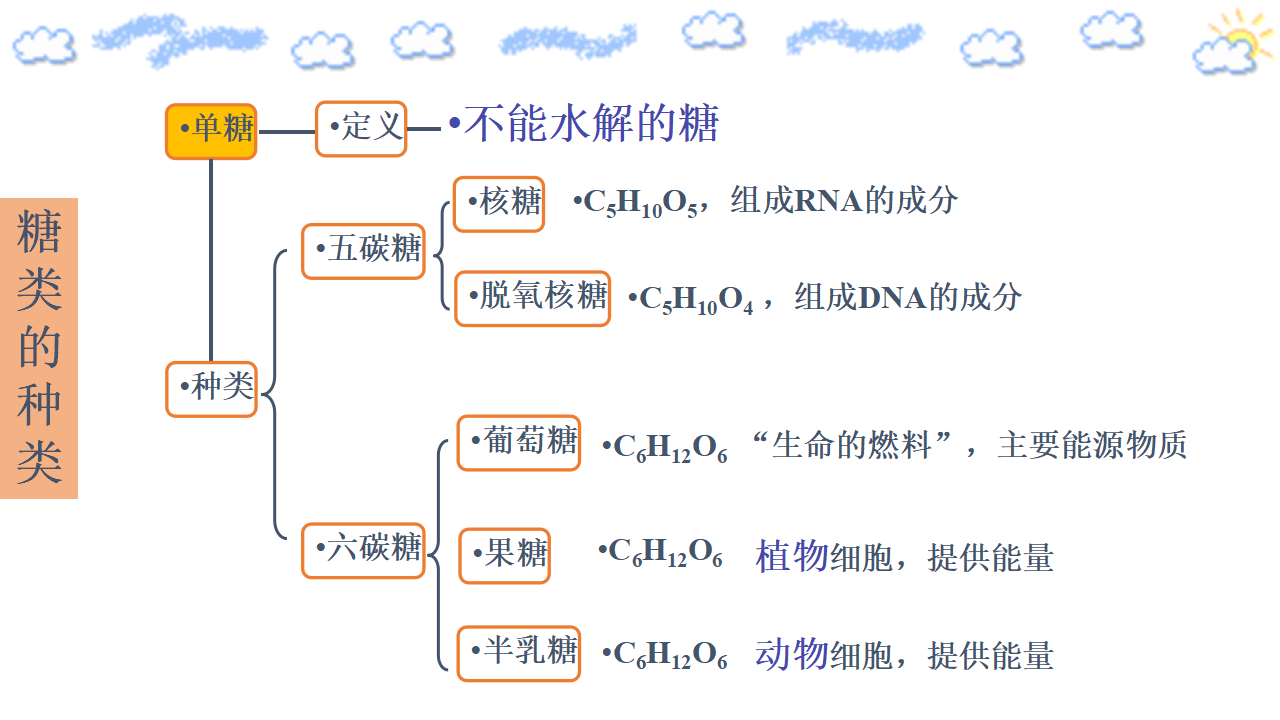 2.3 组成细胞的分子 细胞中的糖类 第一课时 课件 【新教材】人教版（2019）高中生物必修一（思维导图）共21张PPT_08.png
