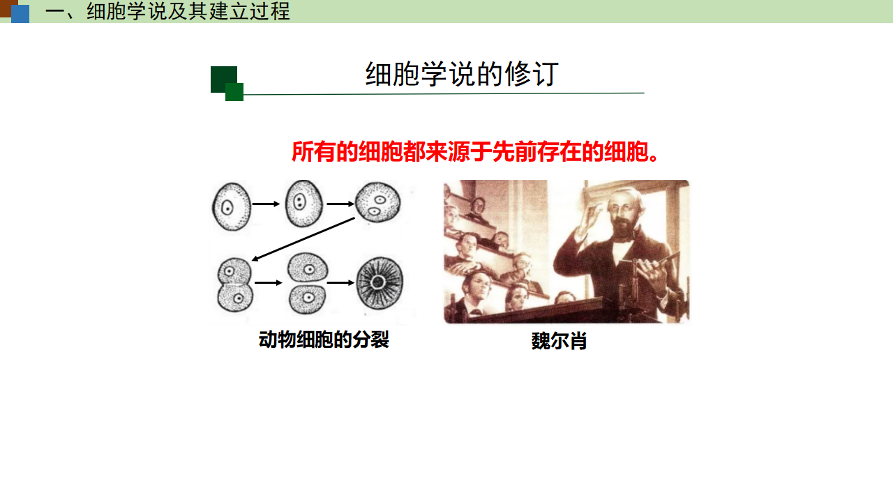 1.1 细胞是生命活动的基本单位（课件）-【高效课堂】2022-2023学年高一生物精讲课件 导学案（人教版2019必修1）_34233040_22.png
