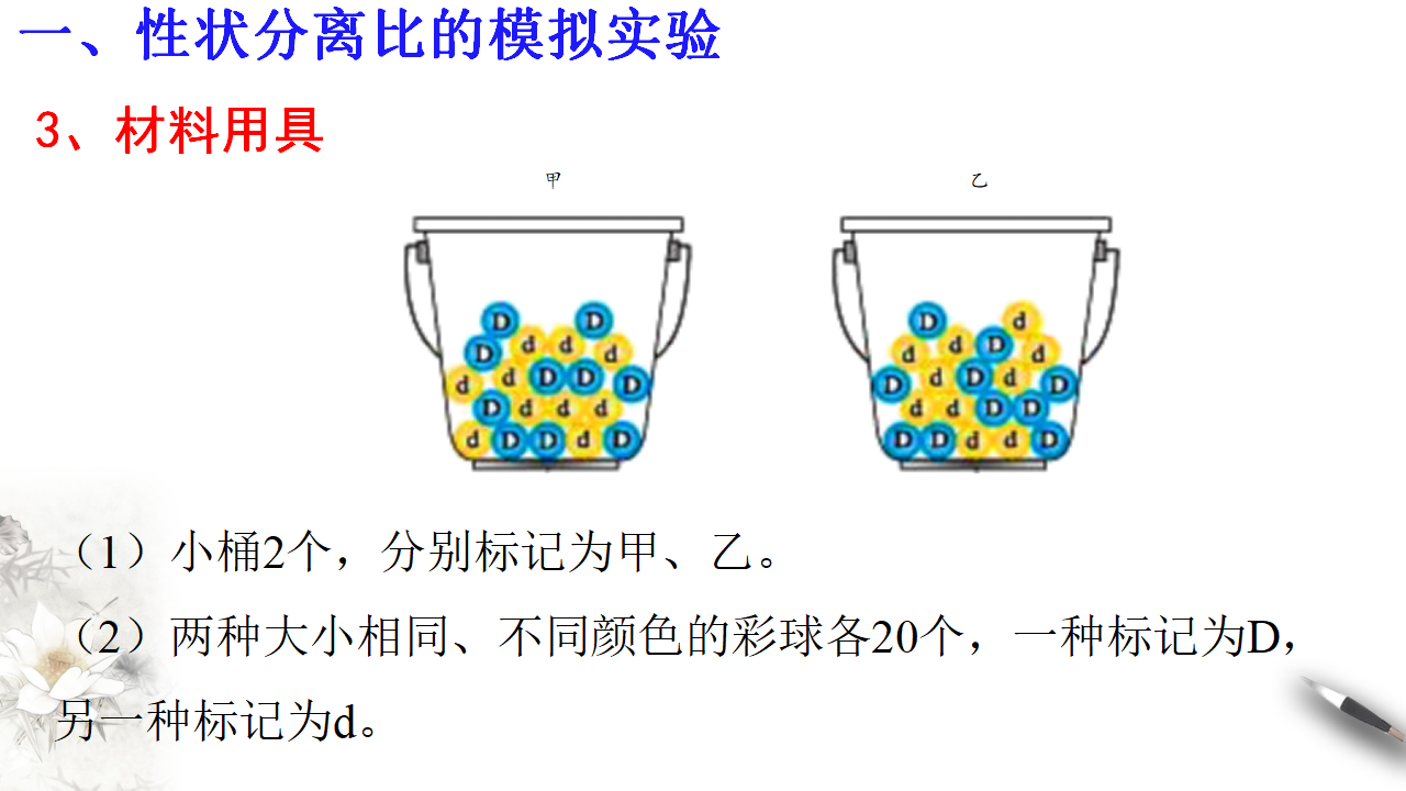 【新教材精创】1.1.2 孟德尔的豌豆杂交实验（一） 课件（2）-人教版高中生物必修2遗传与进化共17张PPT_04.png