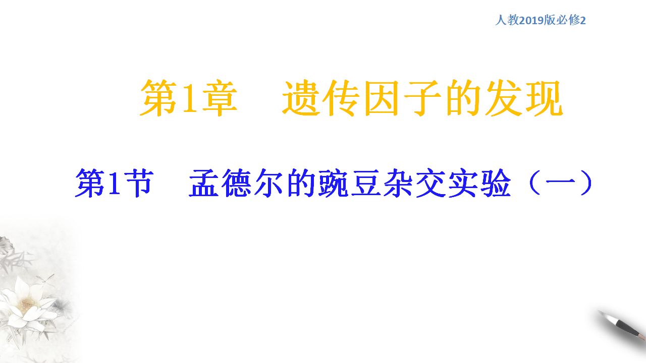 【新教材精创】1.1.1 孟德尔的豌豆杂交实验（一） 课件（2）-人教版高中生物必修2遗传与进化共26张PPT_01.png