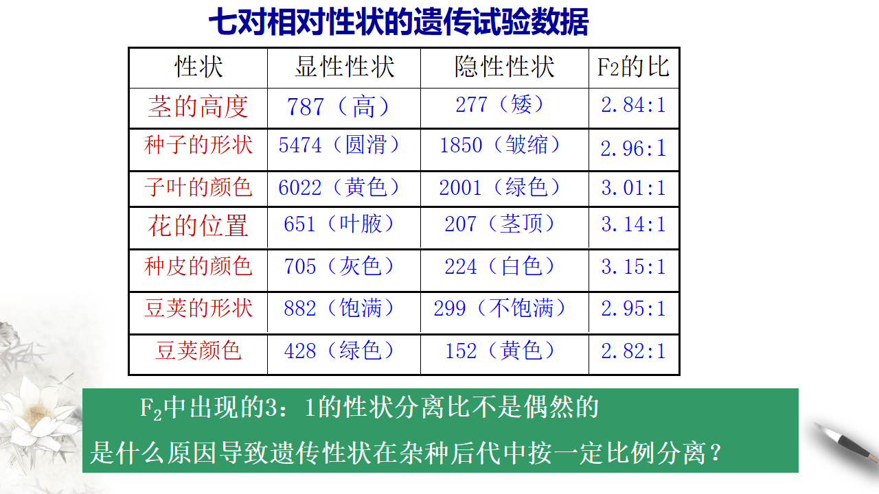 【新教材精创】1.1.1 孟德尔的豌豆杂交实验（一） 课件（2）-人教版高中生物必修2遗传与进化共26张PPT_20.png