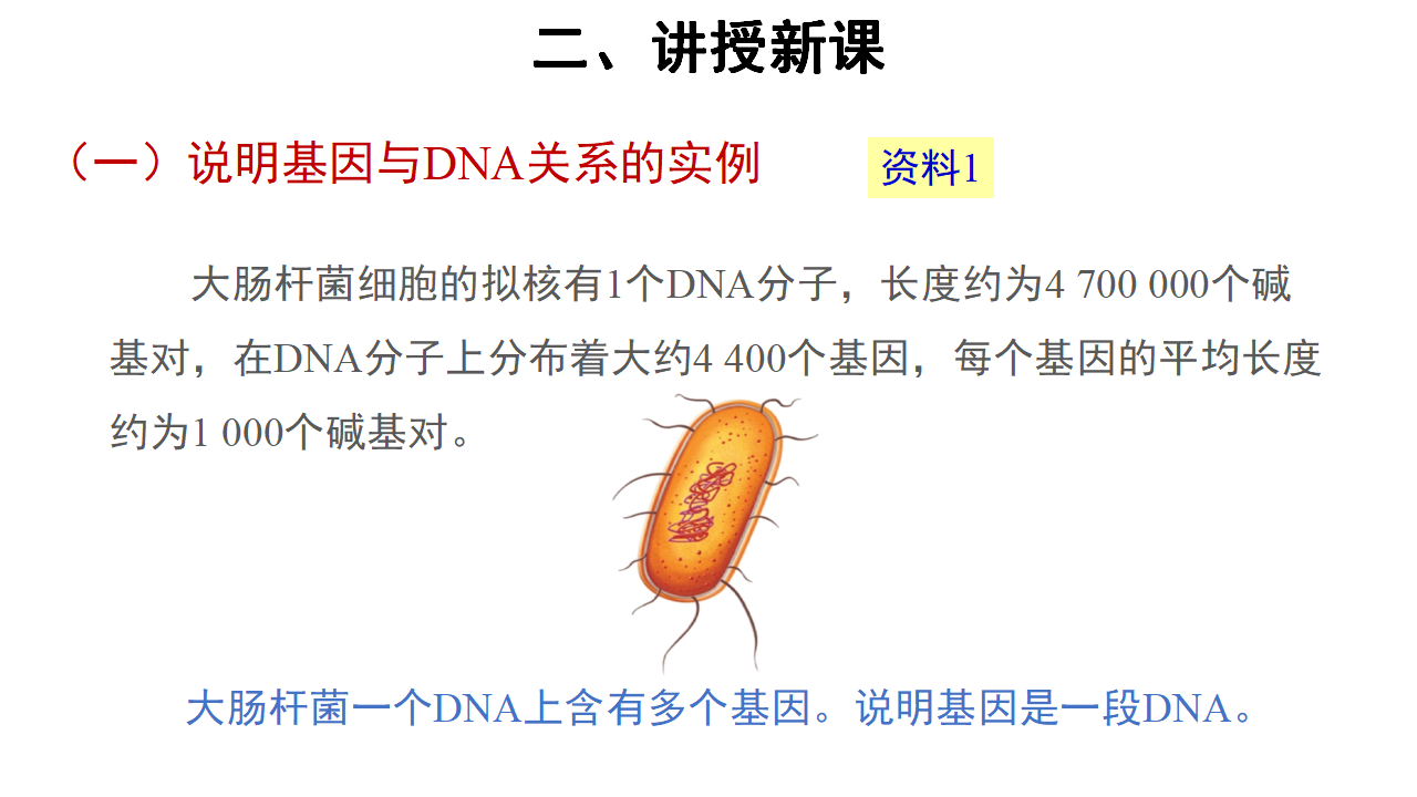 【教学课件】第4节 基因通常是有遗传效应的DNA片段 示范课件1_06.png