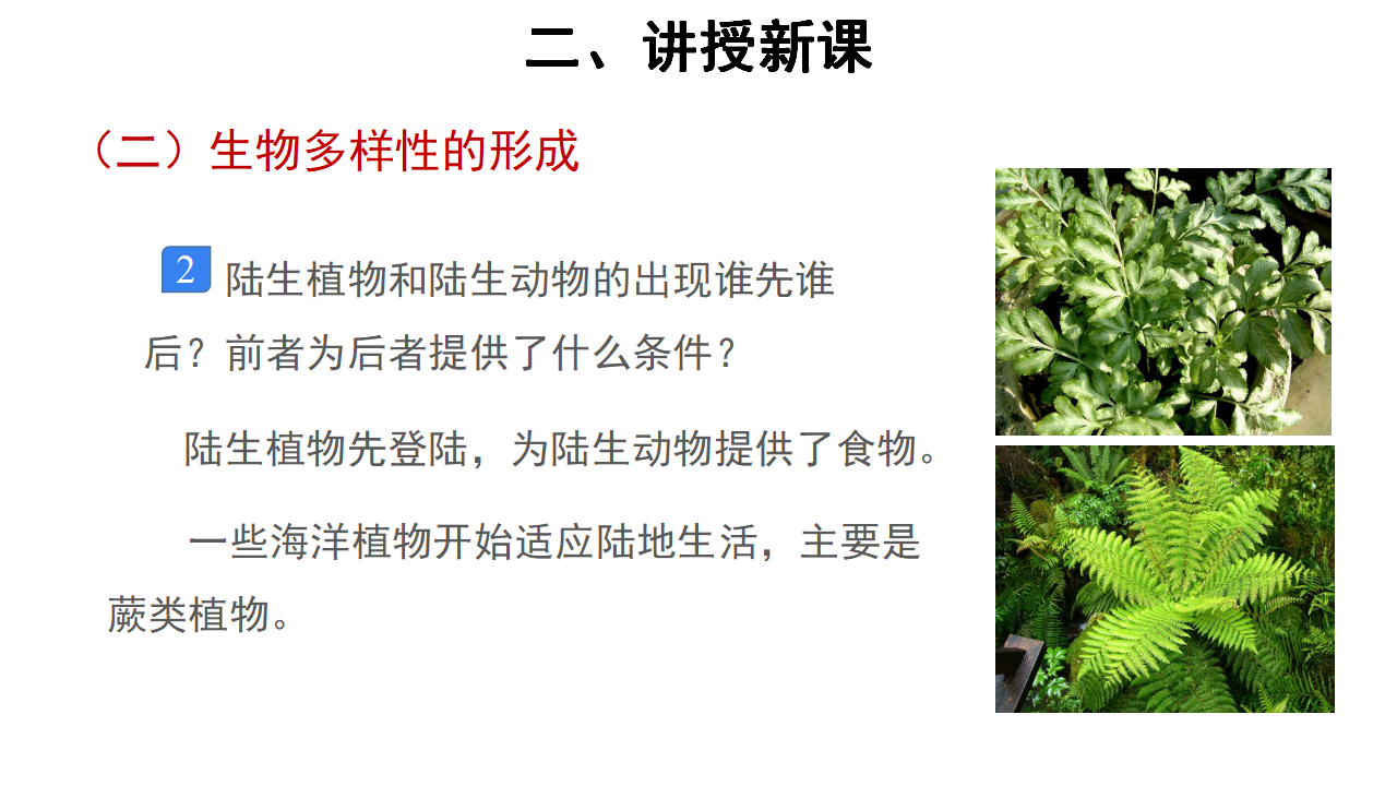 【教学课件】第4节 协同进化与物种多样性的形成 示范课件1_17.png
