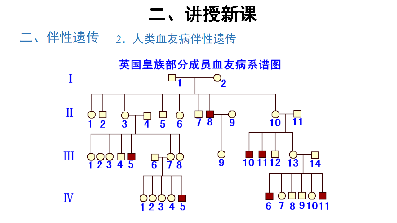 【教学课件】第3节 伴性遗传 示范课件40_27.png