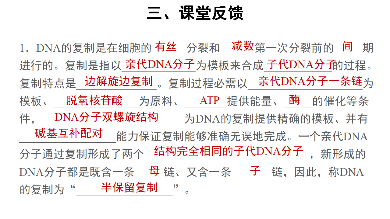【教学课件】第3节 DNA的复制 示范课件1_21.png