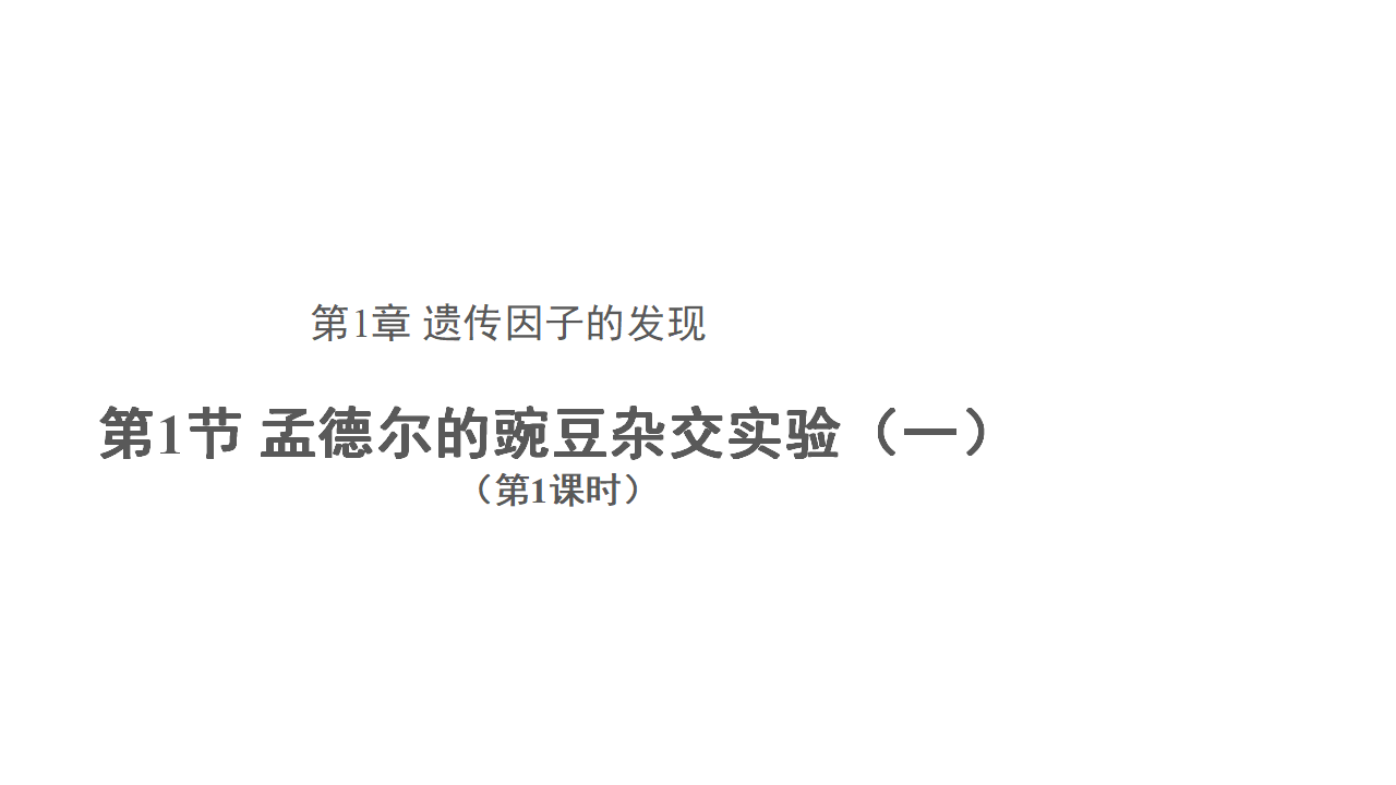 【教学课件】第1节 孟德尔的豌豆杂交实验（一） 第1课时 示范课件1_01.png