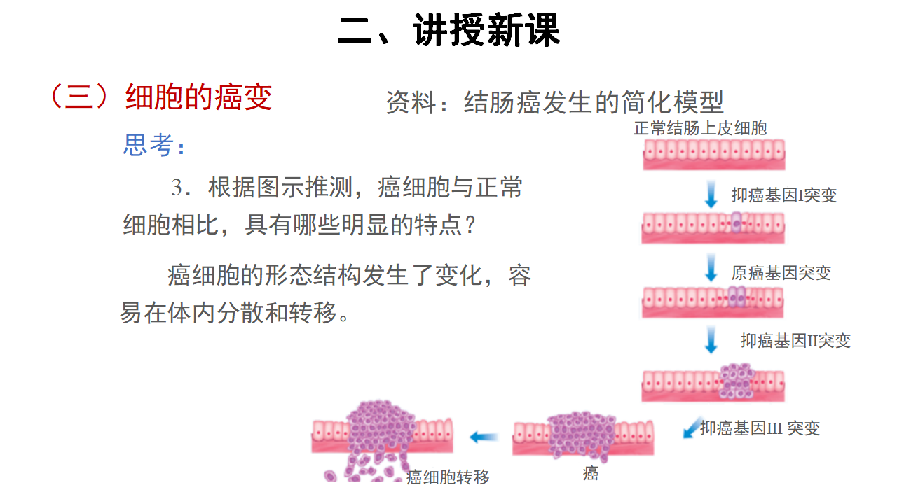 【教学课件】第1节 基因突变和基因重组 示范课件1_14.png