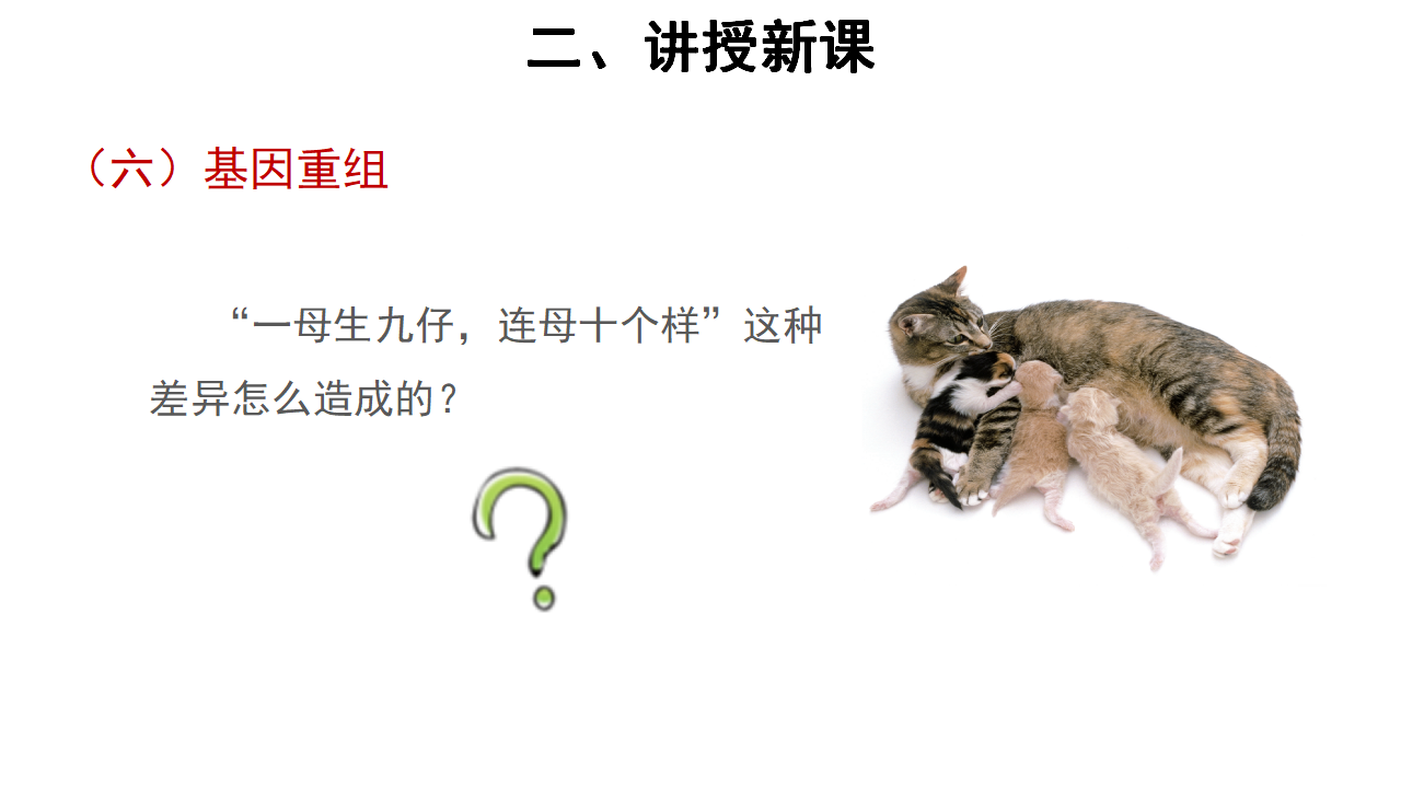 【教学课件】第1节 基因突变和基因重组 示范课件1_21.png