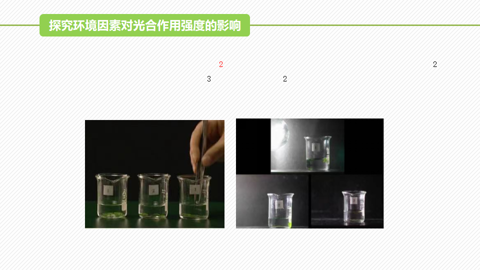 5.4 光合作用与能量转化（第2课时）（精讲课件）-2022-2023学年高一生物同步精品课堂（人教版2019必修1）_18.png