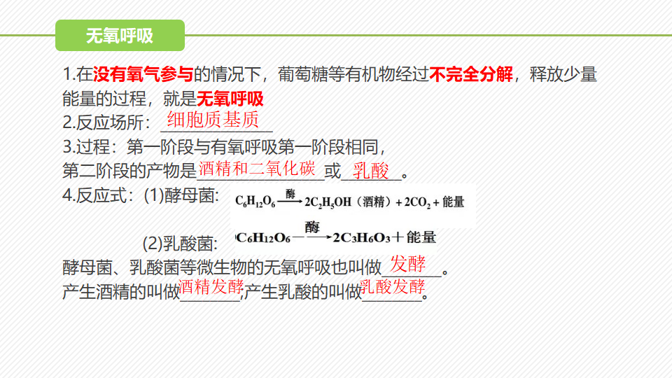 5.3 细胞呼吸的原理和应用（第2课时）（精讲课件）-2022-2023学年高一生物同步精品课堂（人教版2019必修1）_10.png