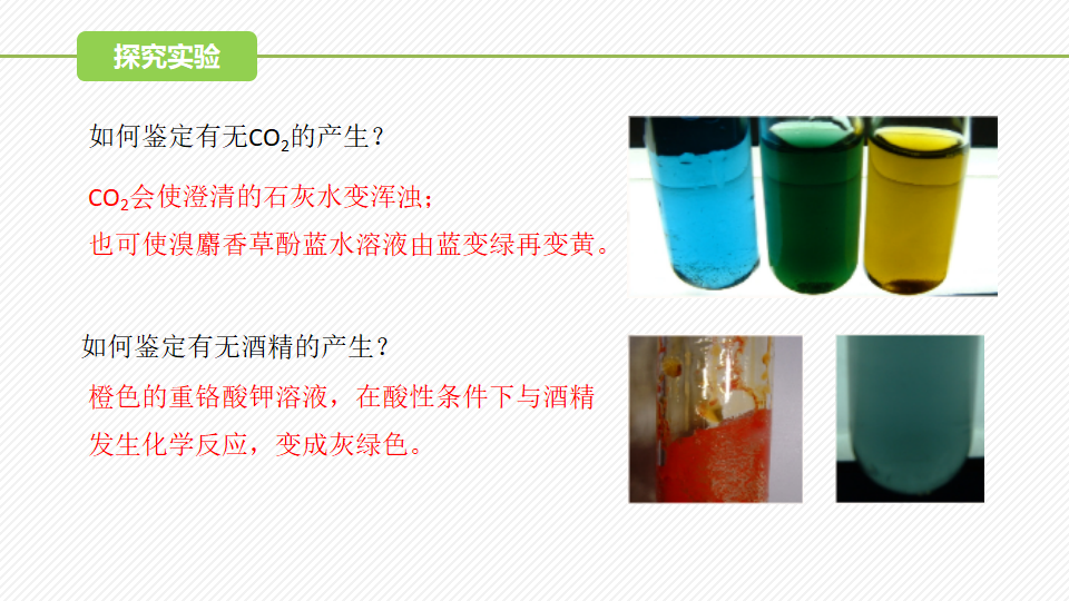 5.3 细胞呼吸的原理和应用（第1课时）（精讲课件）-2022-2023学年高一生物同步精品课堂（人教版2019必修1）_08.png