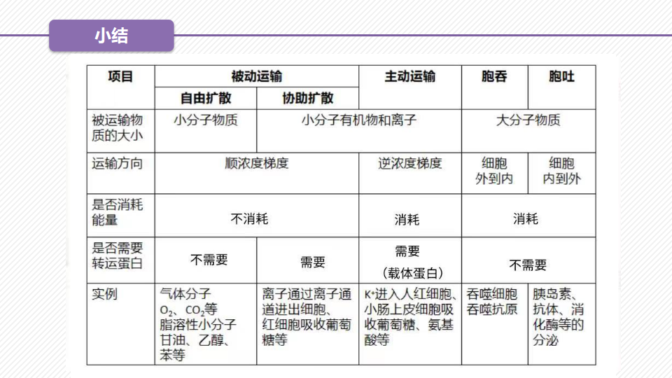 4.2 主动运输与胞吞、胞吐（精讲课件）-2022-2023学年高一生物同步精品课堂（人教版2019必修1）_08.png