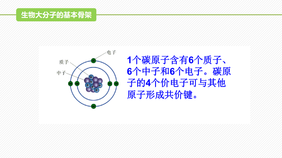 2.5 核酸是遗传信息的携带者（精讲课件）-2022-2023学年高一生物同步精品课堂（人教版2019必修1）_15.png