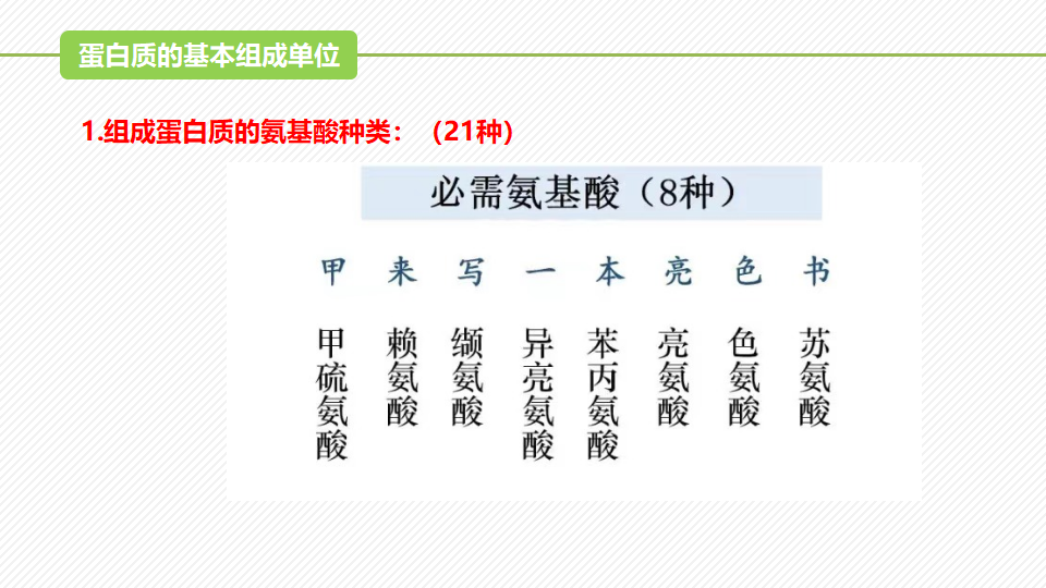 2.4 蛋白质是生命活动的主要承担者（精讲课件）-2022-2023学年高一生物同步精品课堂（人教版2019必修1）_06.png