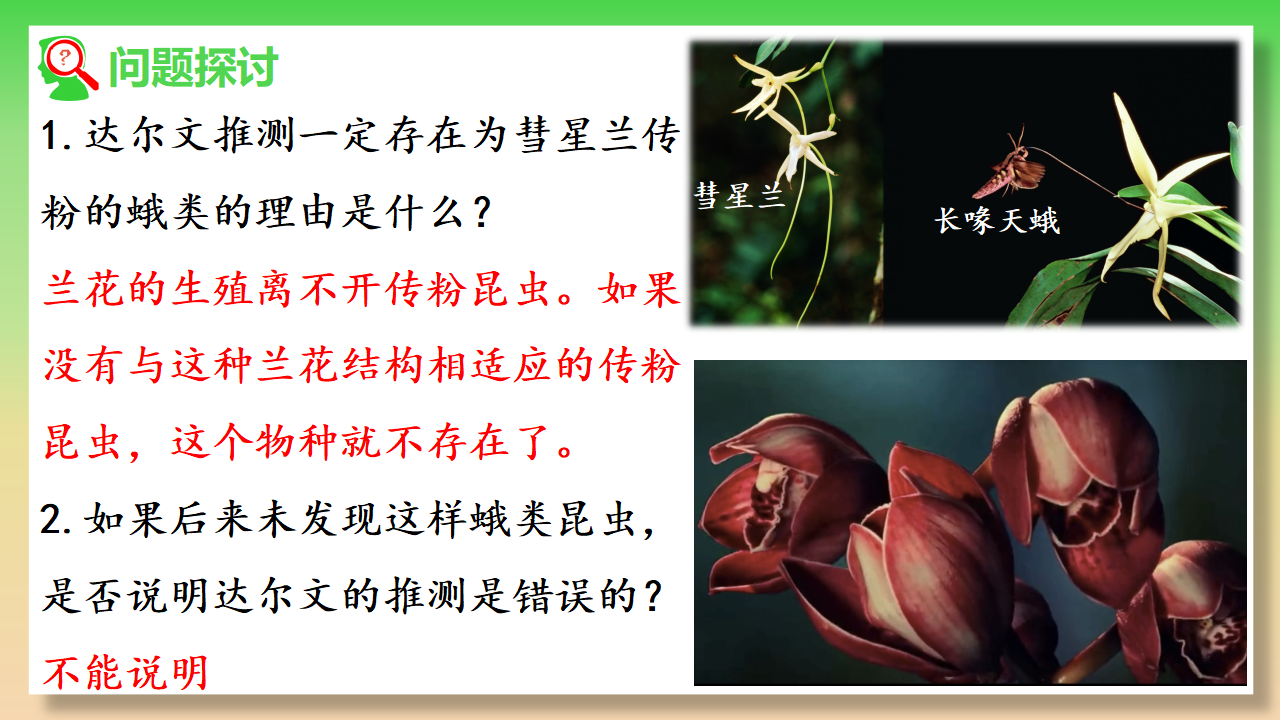 6.4 协同进化与生物多样性的形成-【实践教学】2022-2023学年高一生物同步优质课件（人教版2019必修2）_03.png