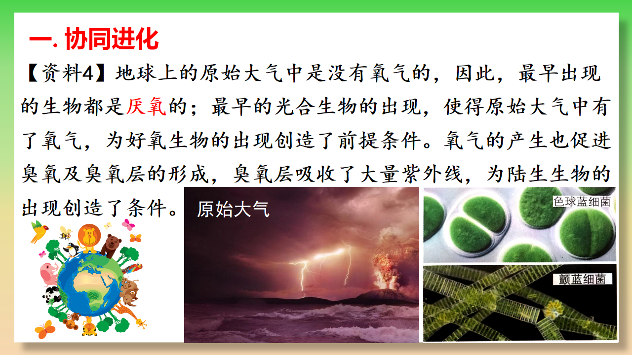 6.4 协同进化与生物多样性的形成-【实践教学】2022-2023学年高一生物同步优质课件（人教版2019必修2）_11.png