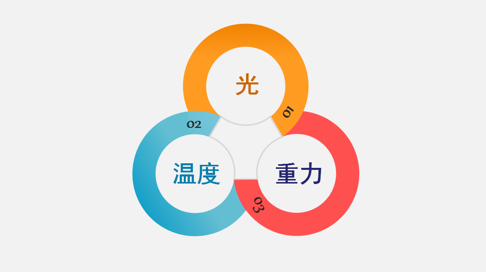 5.4 环境因素参与调节植物的生命活动（课件）-2020-2021学年上学期高二生物学同步精品课堂（新教材人教版选择性必修1）（共26张PPT）_04.png