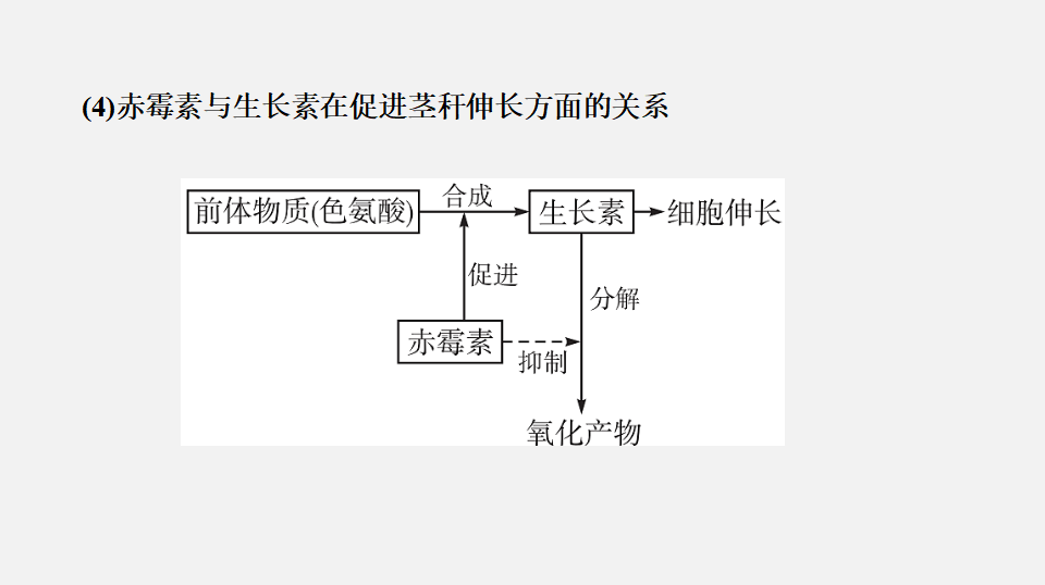 5.2 其他植物激素（课件）-2020-2021学年上学期高二生物学同步精品课堂（新教材人教版选择性必修1）（共27张PPT）_17.png