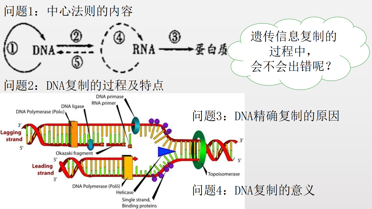 5.1 基因突变和基因重组-【实践教学】2022-2023学年高一生物同步优质课件（人教版2019必修2）_01.png
