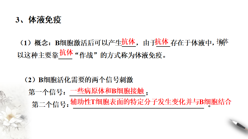 4.2 特异性免疫（课件）-2020-2021学年上学期高二生物学同步精品课堂（新教材人教版选择性必修1）（共23张PPT）_06.png