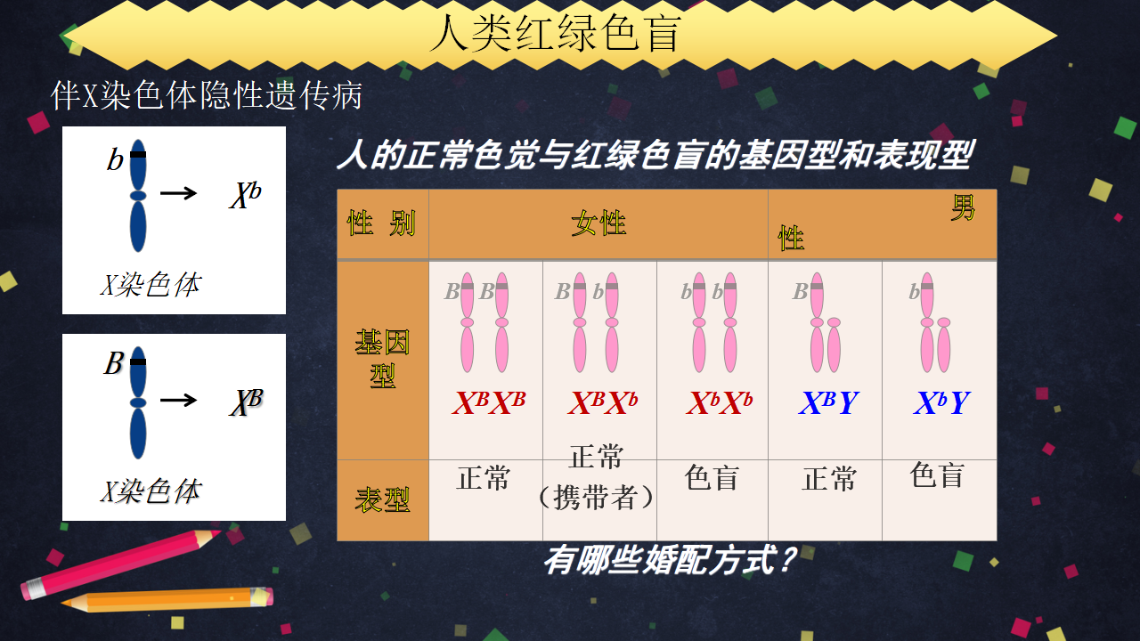 2.3 伴性遗传-【实践教学】2022-2023学年高一生物同步优质课件（人教版2019必修2）_09.png
