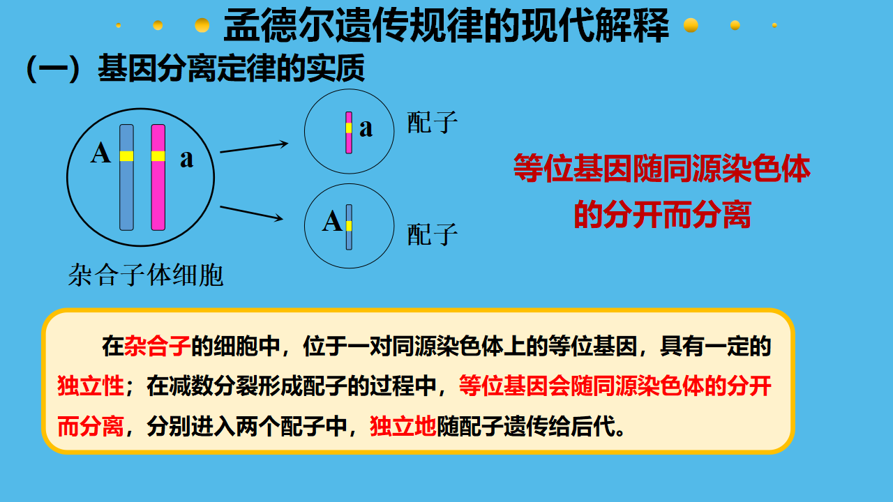 2.2 基因在染色体上-【实践教学】2022-2023学年高一生物同步优质课件（人教版2019必修2）_22.png