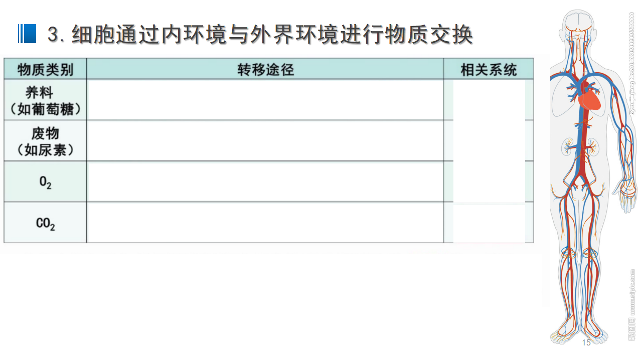 1.1 细胞生活的环境 课件 【新教材】人教版（2019）高中生物选择性必修一_15.png