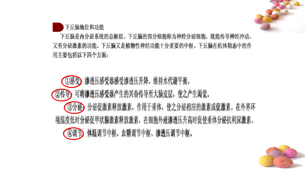 （新教材）人教版（2019）高中生物 选择性必修1 3.3 体液调节与神经调节的关系 课件共52张PPT_42.png