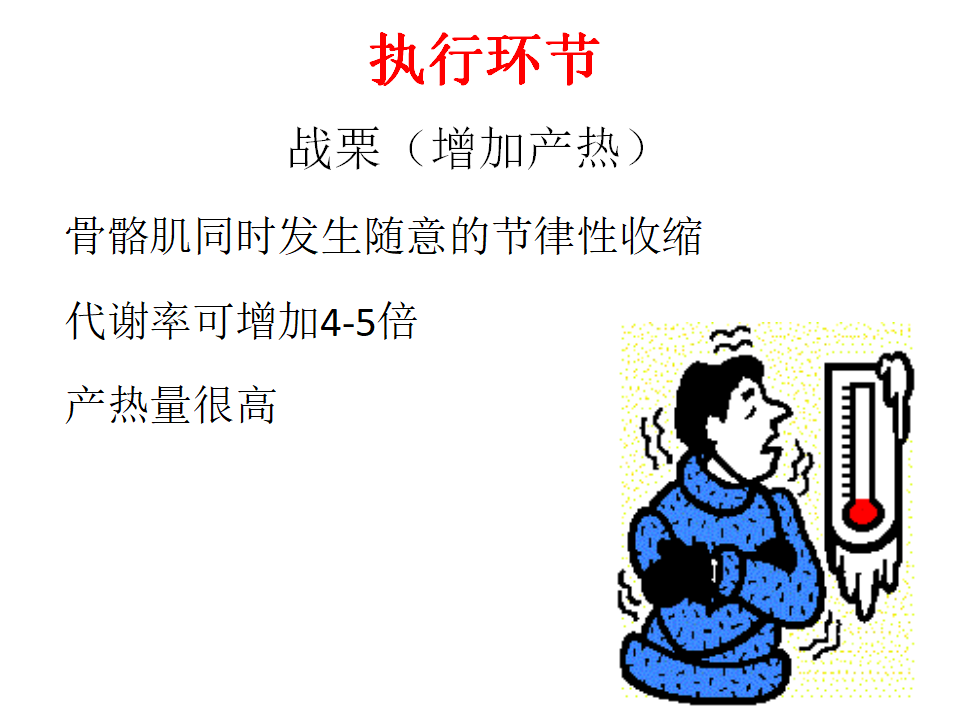 3.3 体液调节与神经调节的关系 课件共35张PPT_11.png