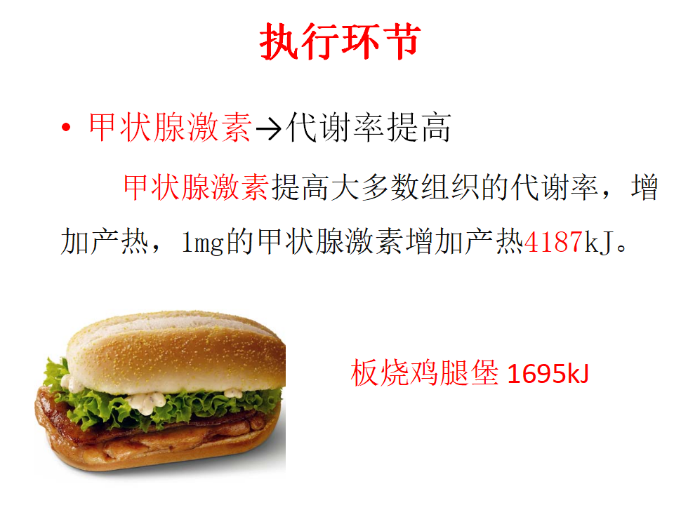 3.3 体液调节与神经调节的关系 课件共35张PPT_12.png