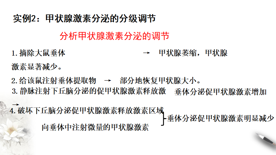 3.2 激素调节的过程（课件）-2020-2021学年上学期高二生物学同步精品课堂（新教材人教版选择性必修1）（共28张PPT）_11.png