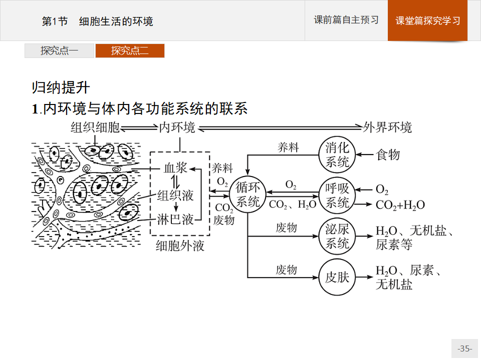 2020-2021学年新教材生物人教版选择性必修第一册课件：第1章　第1节　细胞生活的环境_35.png