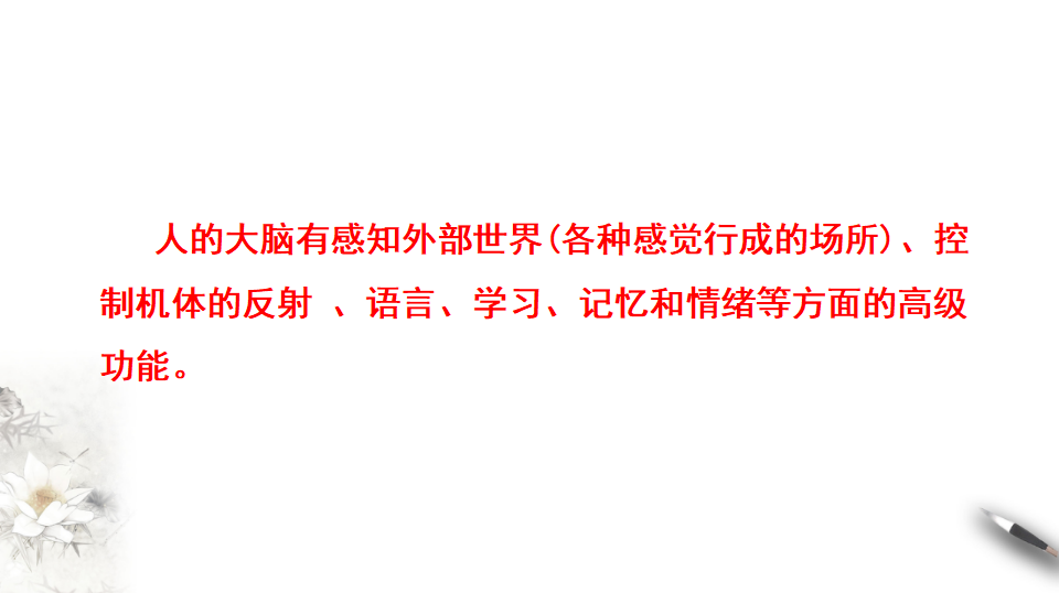 2.5 人脑的高级功能（课件）-2020-2021学年高二上学期生物学同步精品课堂（2019人教版选择性必修1）（共18张PPT）_04.png